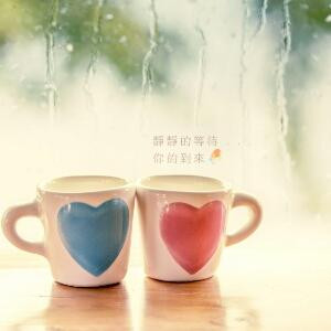 潇湘@蔷薇