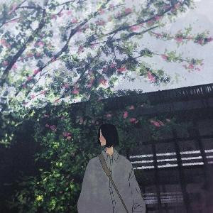 朝颜剪秋罗