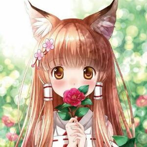 黑夜中的猫