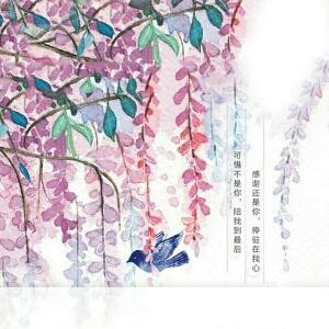 葡公英