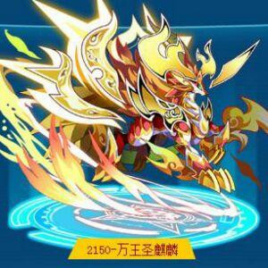 i61****028