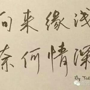 情深已缘浅