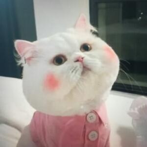 传奇
