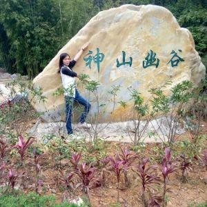我要的倔强