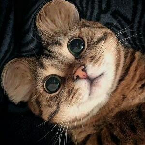 蜗牛漫步