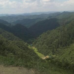唐朝臣