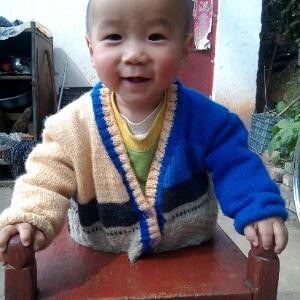 爱书鸟