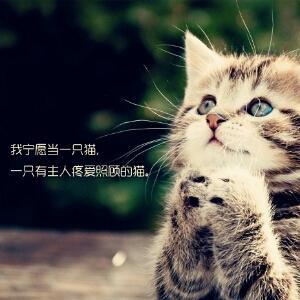 我不会变