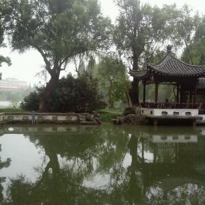 樱落风乱