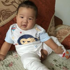 周大鸟