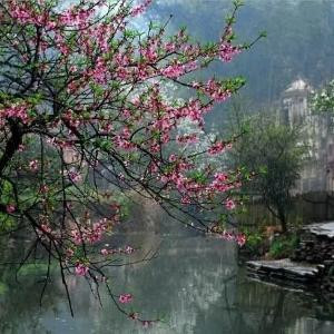 午夜阳光