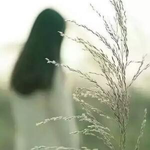 寒冰