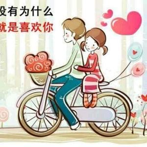绽放奇迹