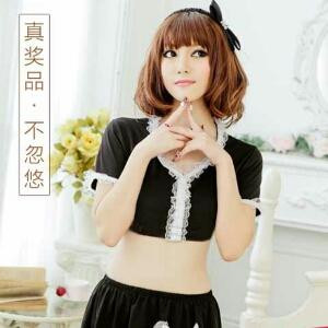 小菜鸟