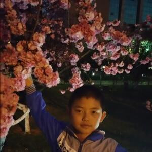 i667831301旺