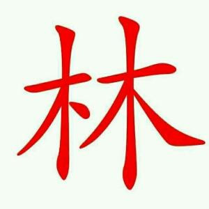 林小柒