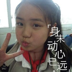 落樱晨曦