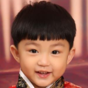 乖貓貓