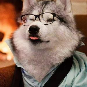 似水若蝉
