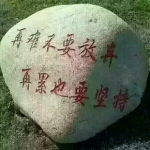 马到成功