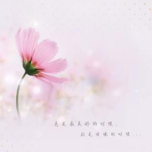 一生爱杨总