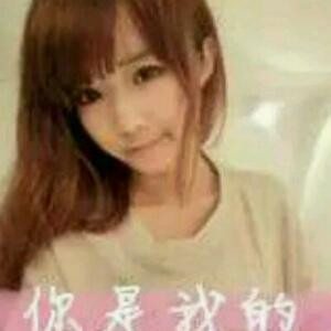 校园紫贝壳