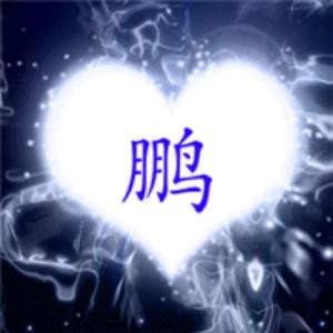 鹏少