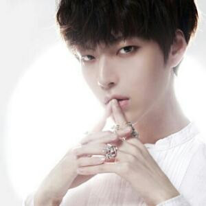 梦里花落知多少