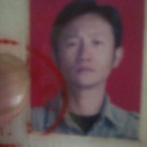 孤独的狼