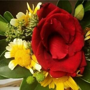 素纱衣丶敛浮光清浅 　　