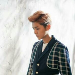 鹿过晗冷的世界