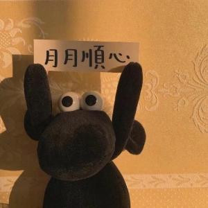 揪揪