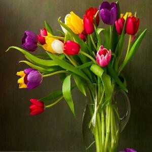 重生农家有财女