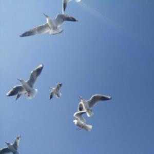 潋空