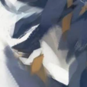 君卿