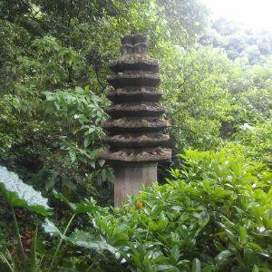 我是农村滴