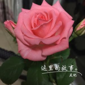 草根的故事