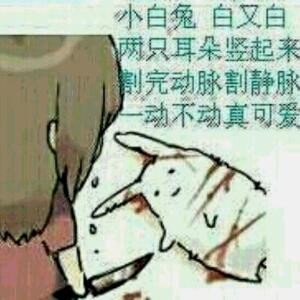 我真的是熊大