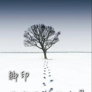 随风飞