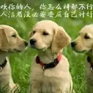 樱花女神