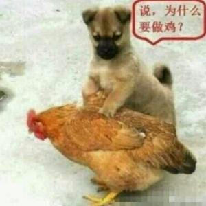 哪位道友在渡劫