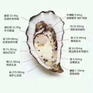 航仔仔