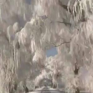 惩戒者