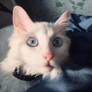 益达