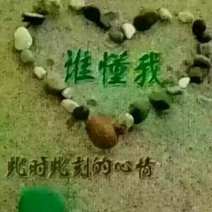 秦岚