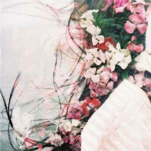 王王木木王小八