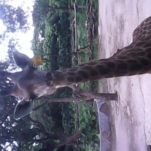 不爽你就咬我啊