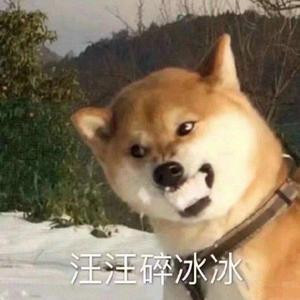 不太甜