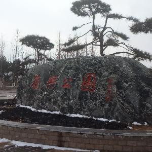 晴天依然