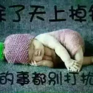 书神宝贝